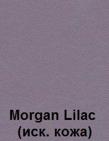Morgan-Lilac