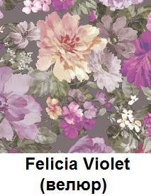 Felicia-Violet