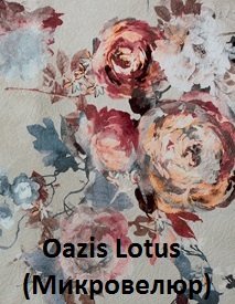Oazis lotus