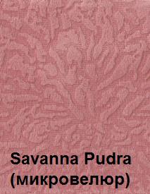 Savanna-Pudra