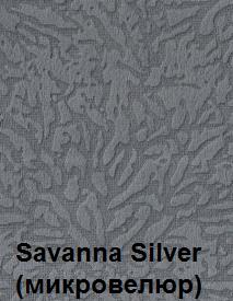 Savanna-Silver